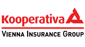 Partner 6